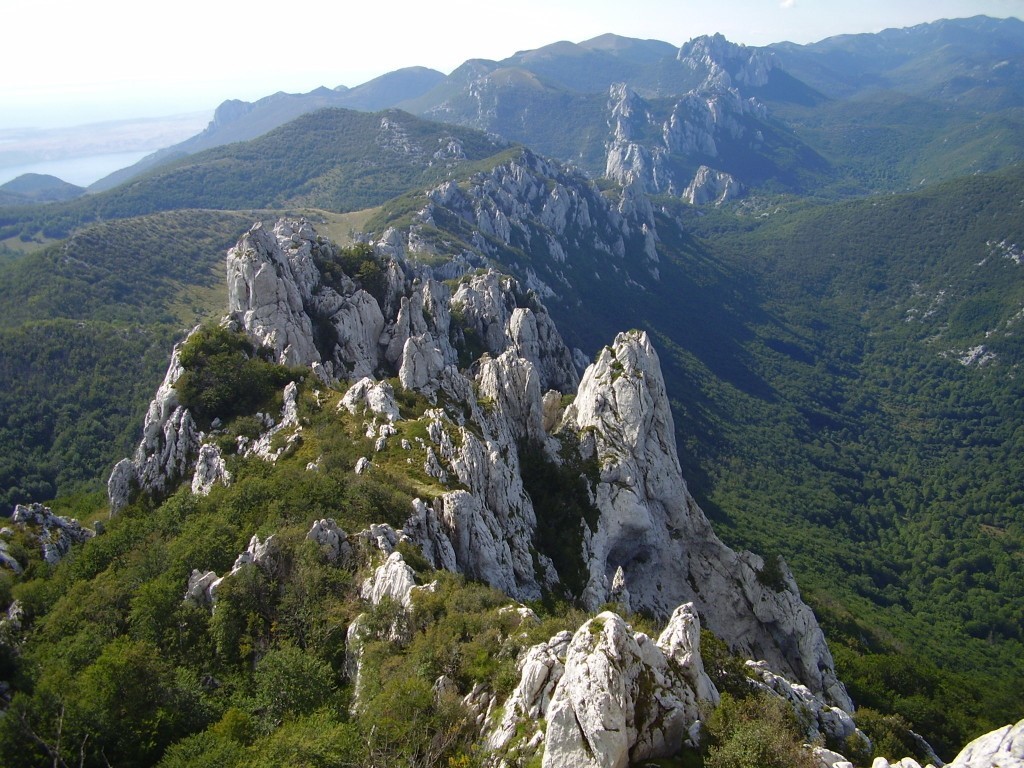 Scenic landscape of Velebit mountain with rugged peaks and dense forests.