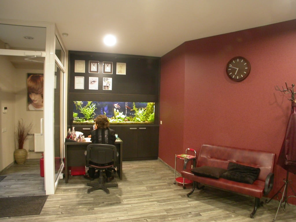 sienu apdaila grozio salonui