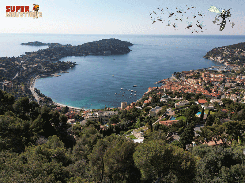 Traitement anti-moustique à Saint-Jean-Cap-Ferrat