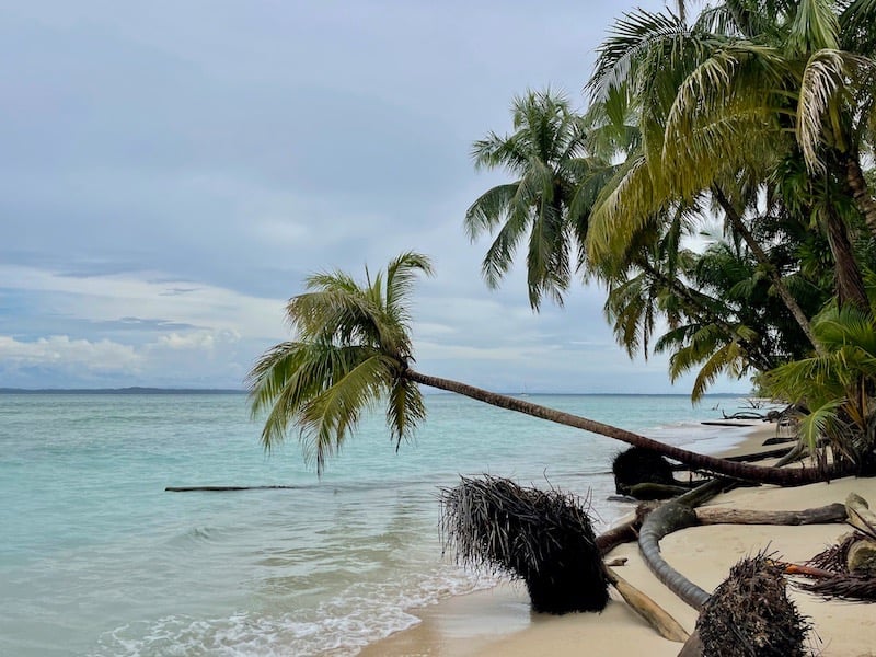 Panama Cayo Zapatilla Karaibik Bocas del Toro
