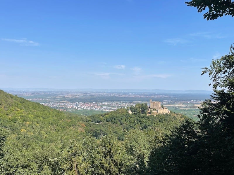 Hambacher Schloss Neustadt an der Weinstraße Annerschtwo