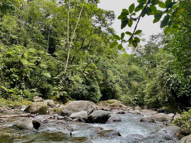 La Fortuna Wasserfall Urwald Costa Rica Annerschtwo