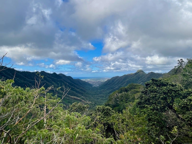 Moanalua Valley Trail Stairway to Heaven Oahu