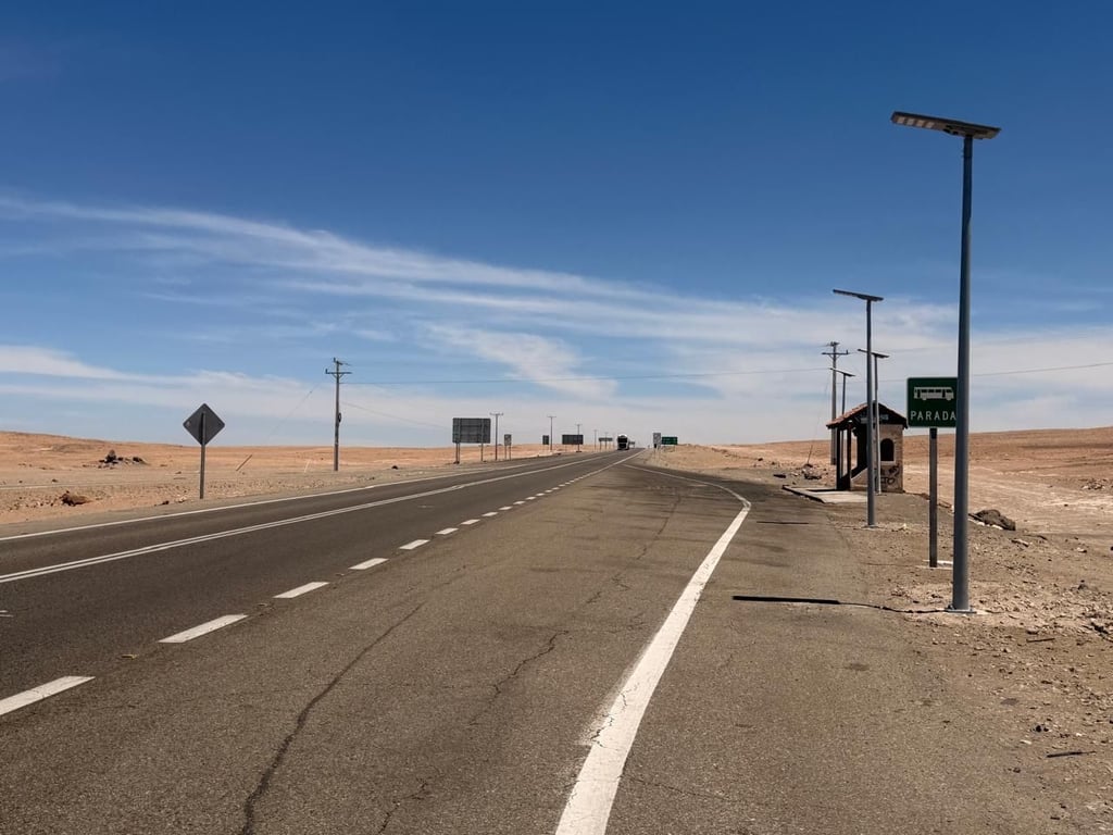 Christmas led solar street light