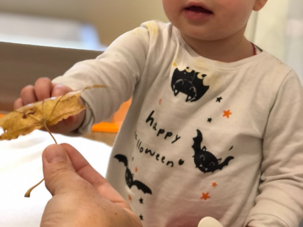 enfant qui prend une feuille