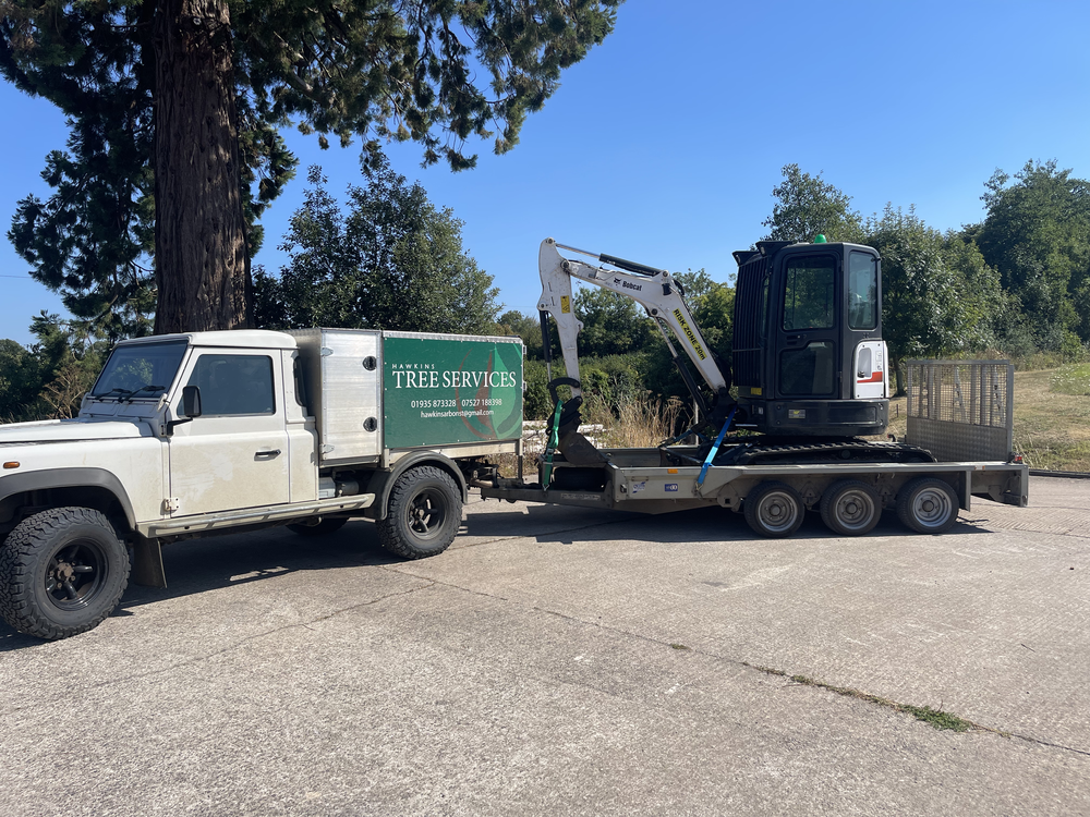 hawkins tree surgeons