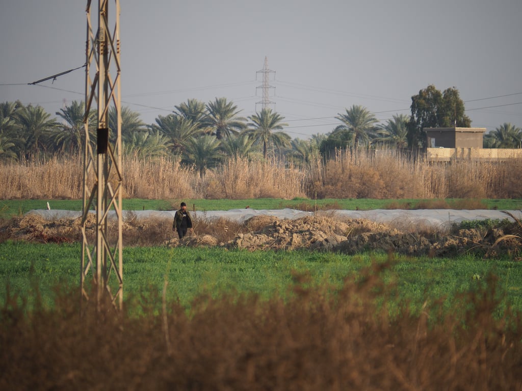 an Iraqi man waling in a green field with tall palm trees in the background