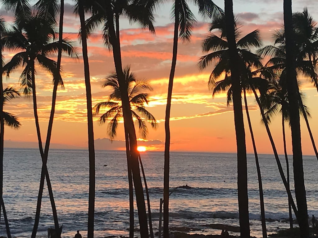 a sunset over the ocean with palm trees