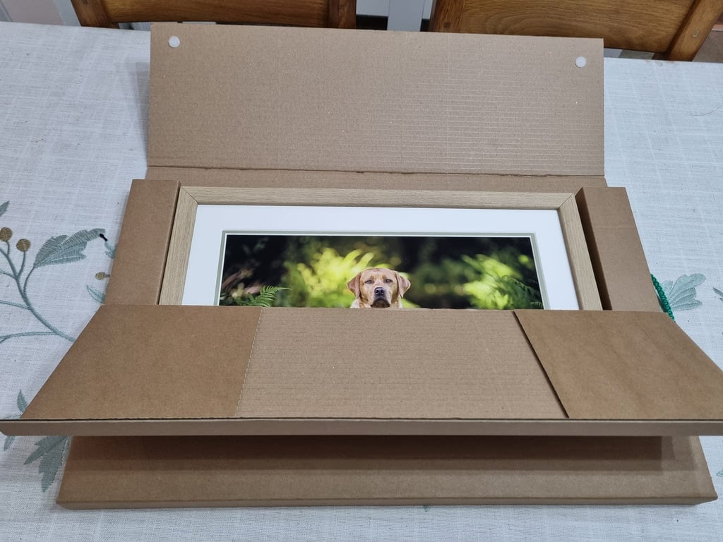 LokiPawtraits - Framed A3 pet photo.  #lokipawtraits Loki Pawtraits