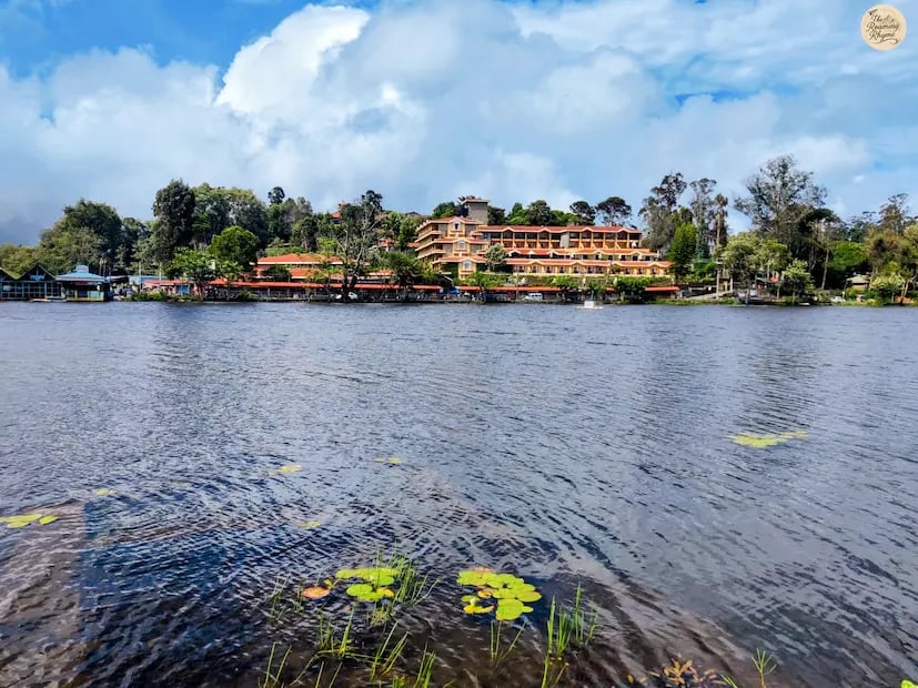 Calm rippling surface of Kodaikanal Lake surrounded by greenery.