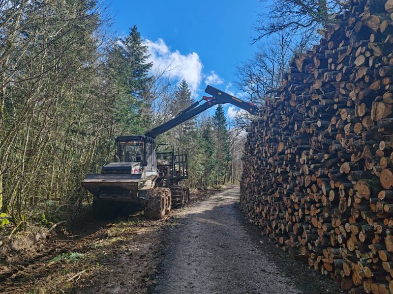 Exploitant forestier