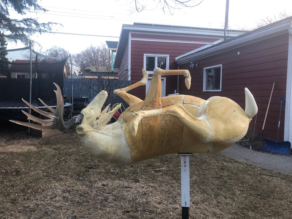 original sculpture life-sized deer title: highjinx, public art, original artwork