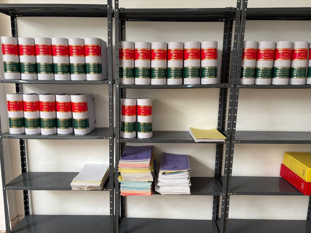 Encuadernacion de protocolo, organizados en estantes metálicos en un archivo de encuadernaciones.