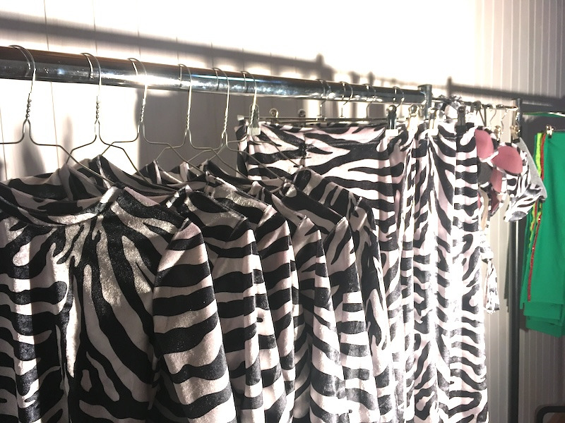 Zebra print  costumes hanging on a metal rack.