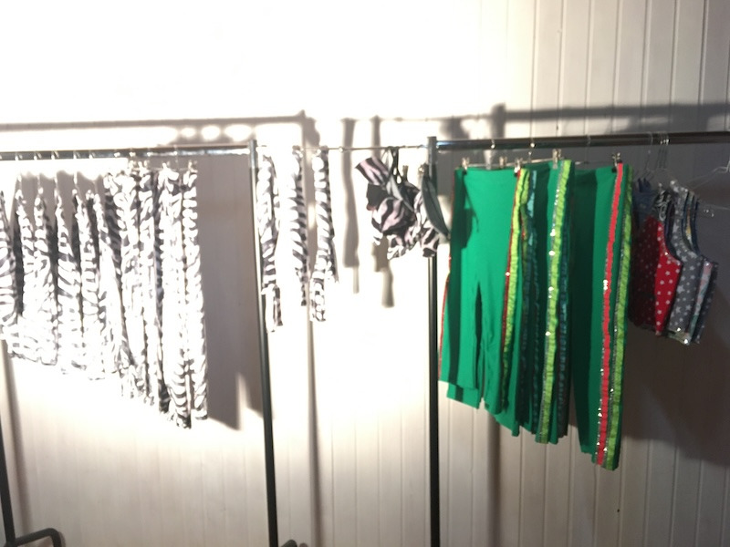 Clothing rack with zebra print costumes and green sequin pants.