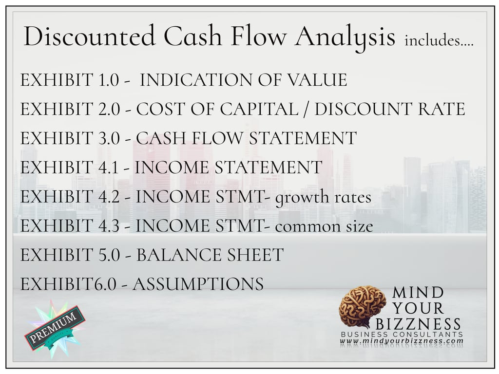 A schedule showing what is included in a discounted cash flow analysis. 