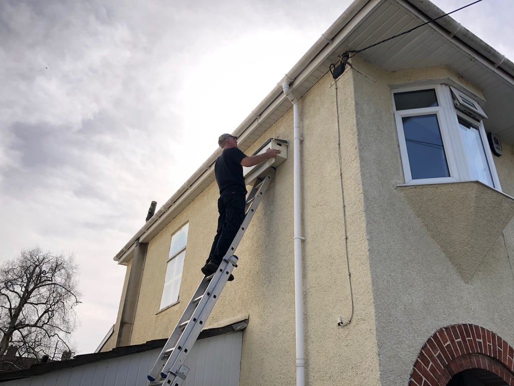 Installing swift nesting box