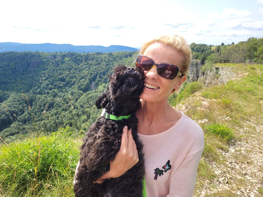 Schnauzer miniature dans la nature