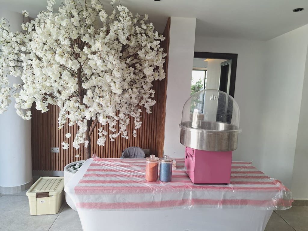 Cotton candy machine, candy floss, cotton candy floss