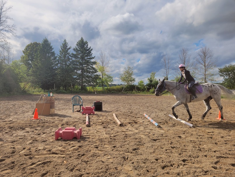 learn to ride montreal