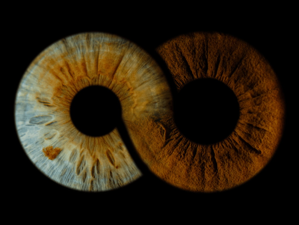 The Oculis Sonsuzluk ve Zamansızlık