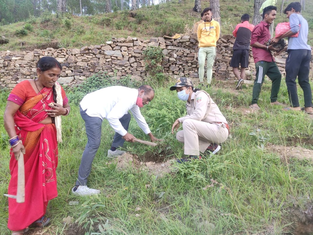 Top 10 tree plantation agency in Uttarakhand