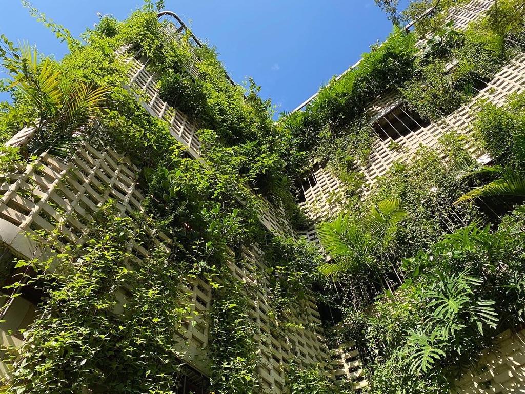 Paisagista Ricardo Cardim, que transforma áreas urbanas degradadas em pequenos oásis de vegetação.