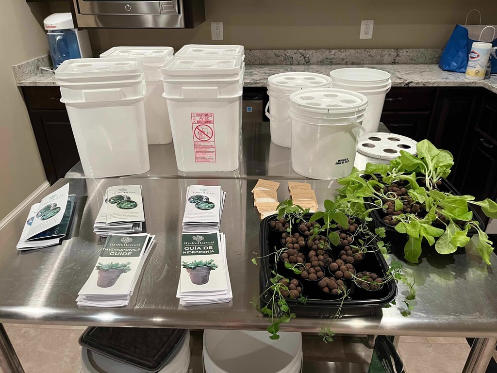 Hydroponic grow buckets, brochures, and lettuce seedlings on a table