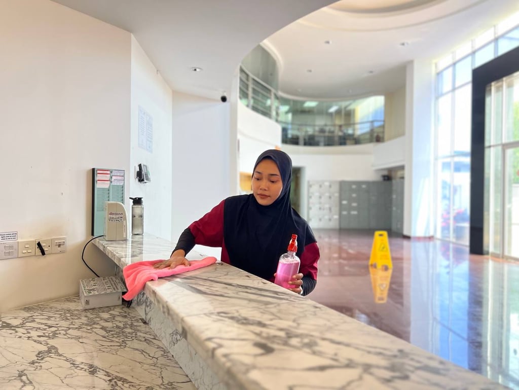 iccs cleaning solution