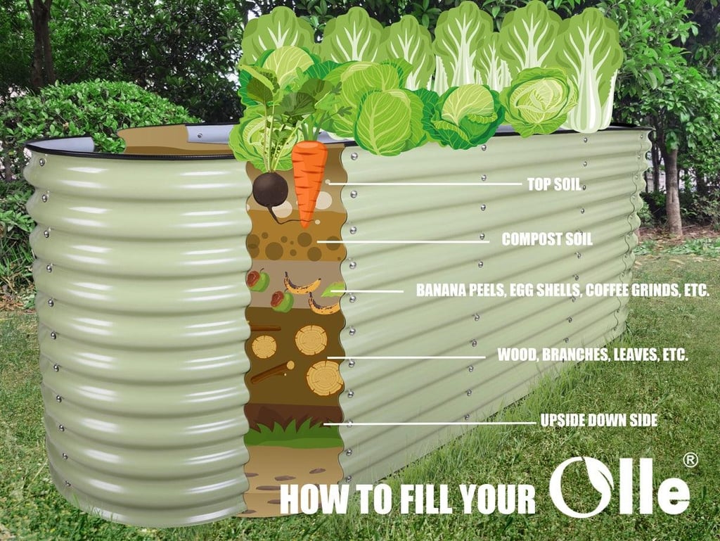 Olies soil suggestion