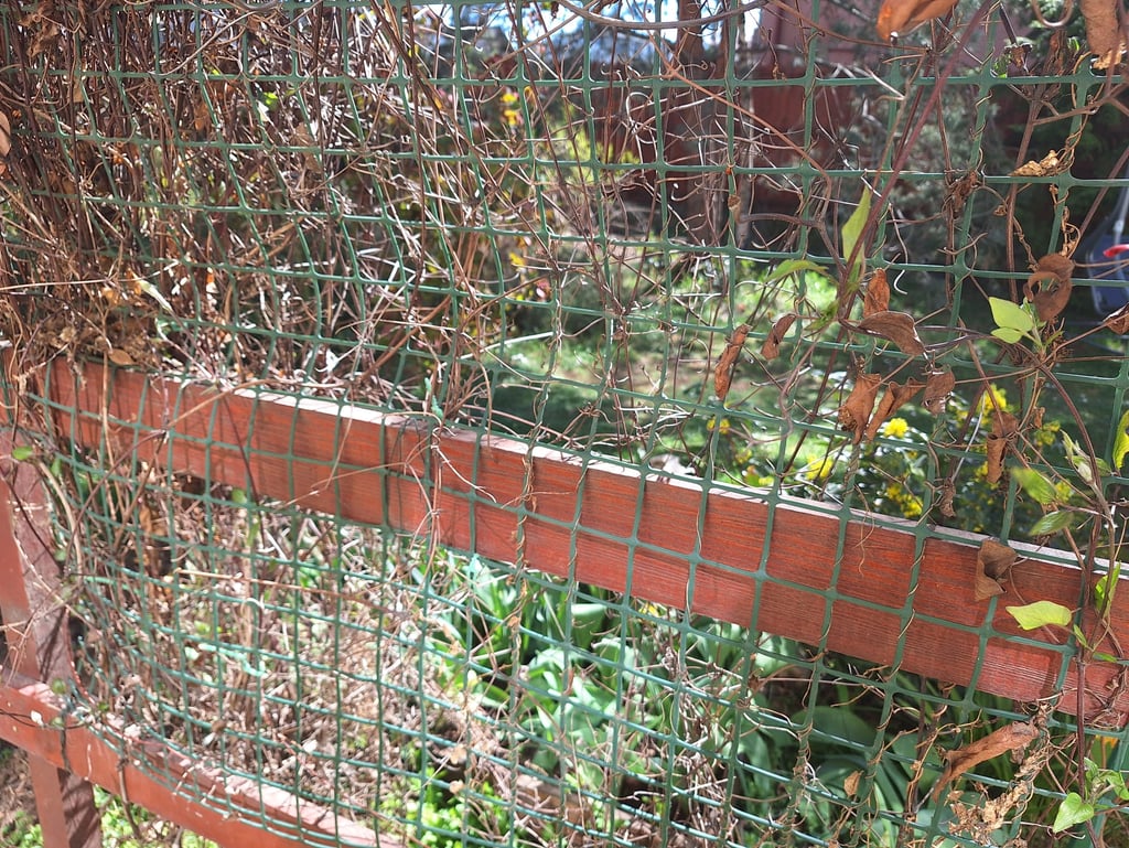 a strong fence we put up in our garden