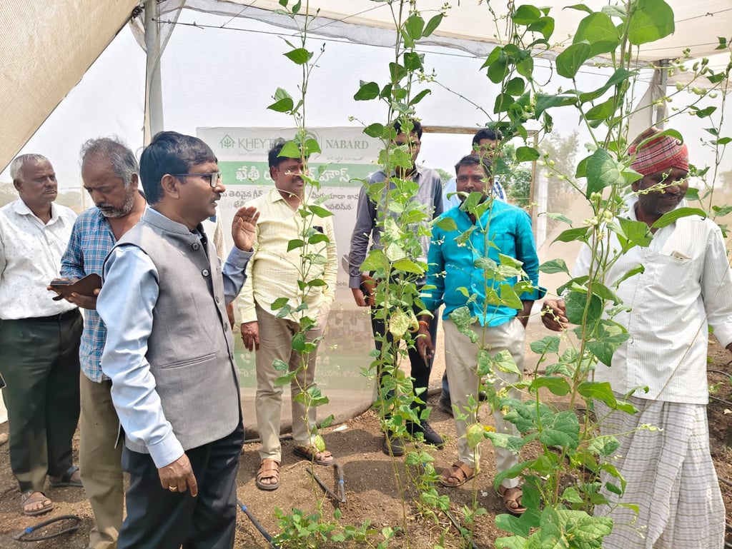 Visiting Agricultural farms 