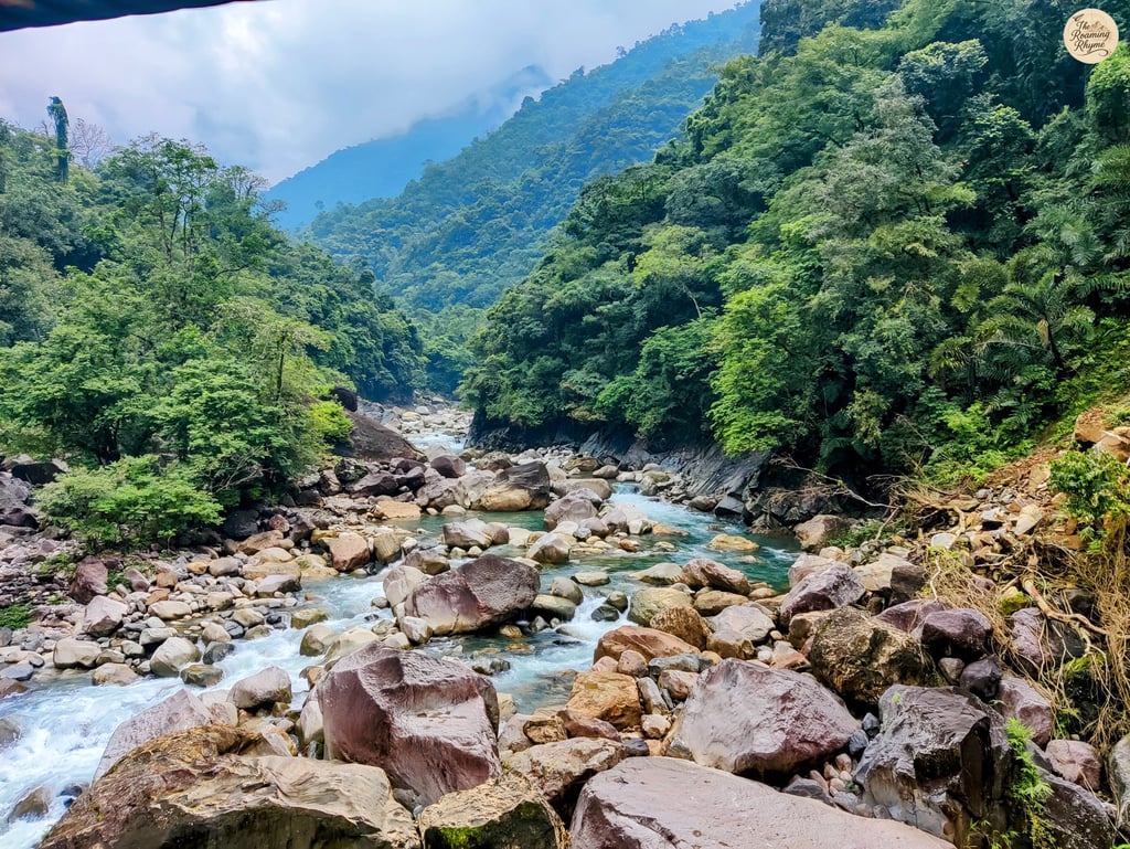Jungle Trails and Murmuring Streams – En Route to the Double Decker Root Bridge