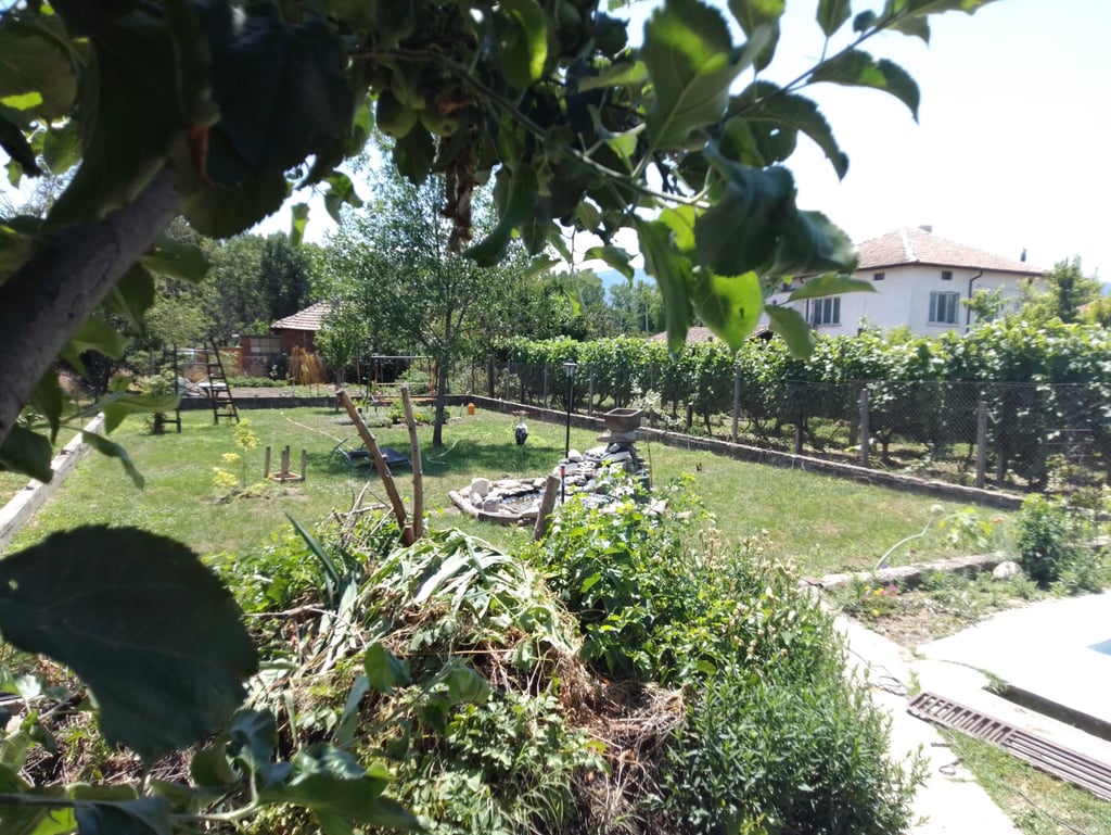 Градината на Hedgie Wilder с фонтан, цветя, осветление, дърво и щъркел, който търси храна в тревата