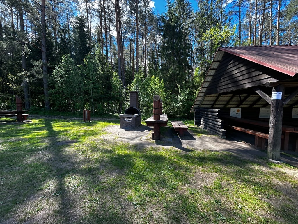 Supraśl, Podlasie, Kopna Góra, Żubr