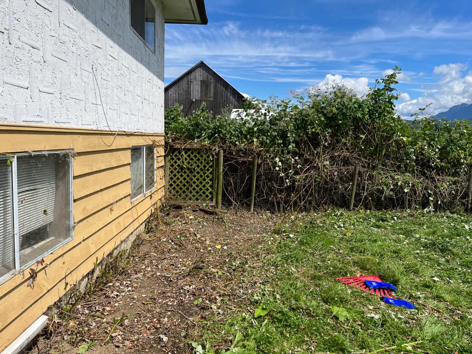 side of a house and gate now free of blackberries