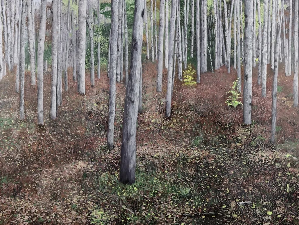 Manistee River Trail painting. Fall forest.