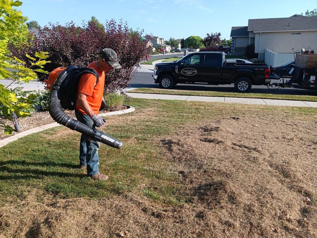 Lawn Power Raking and Thatch removal company