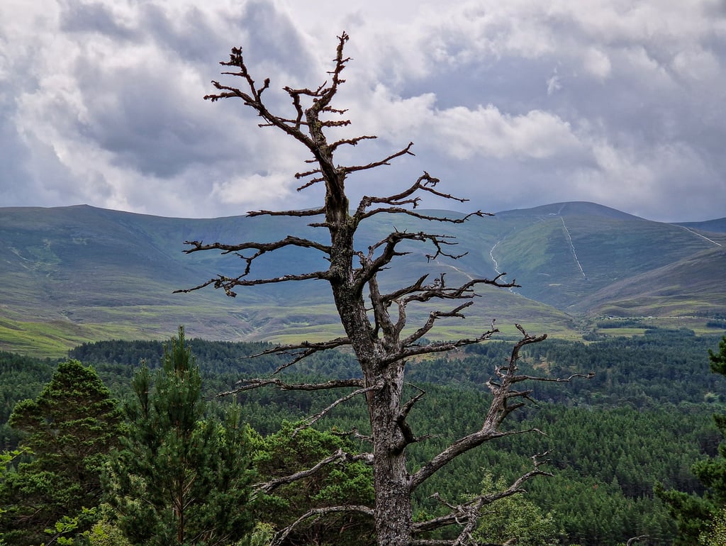 Cairngorms National Park