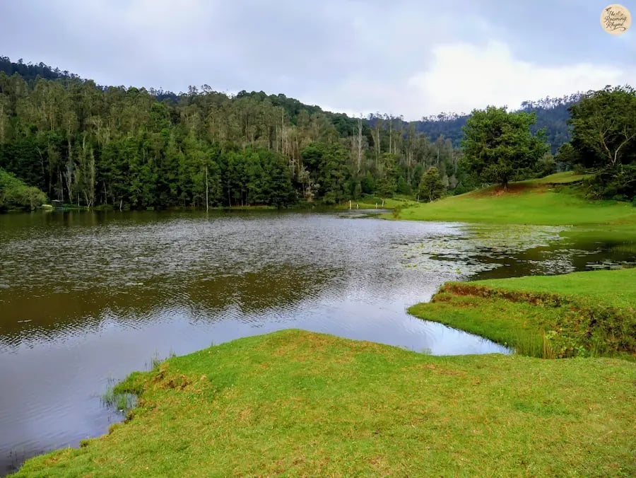 Calm waters of Poondi Lake surrounded by lush greenery in Kodaikanal.