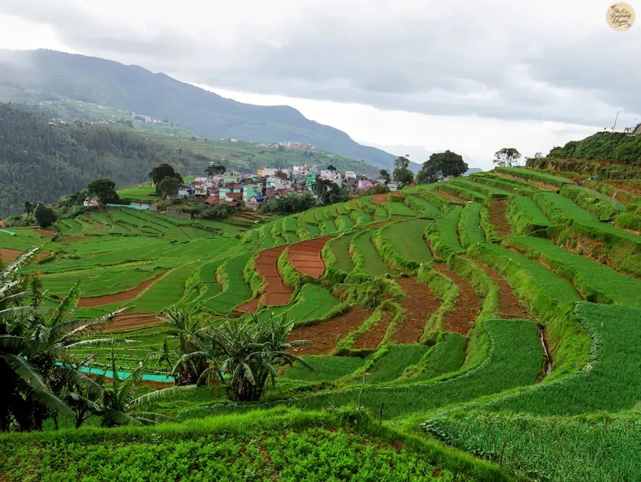 Terrace farms on mountain slopes at Poondi Village, Kodaikanal with mist.