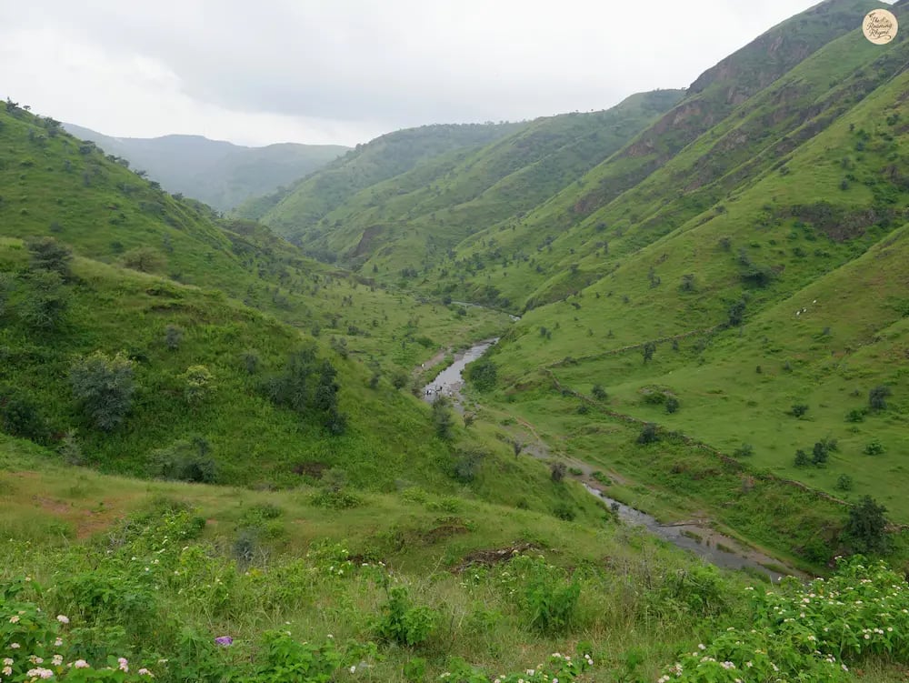 Rolling green hills at Rayta Hills, Udaipur, resembling the lush slopes of Dzukou Valley Nagaland.
