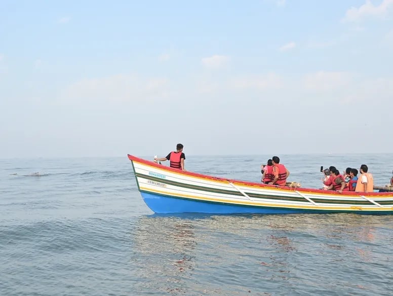 Real photo of people seeing dolphin during dolphin safari at Dapoli