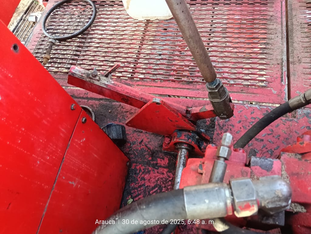 palancaje o varillaje de la patecabra