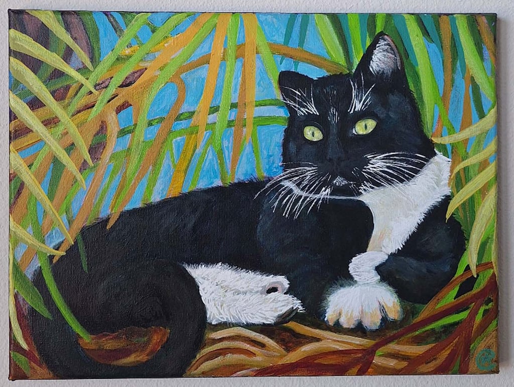 a black cat sitting in the woods