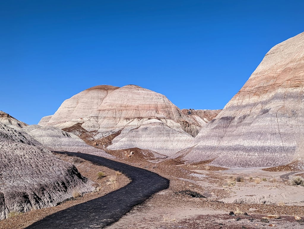 Petrified Forest National Park