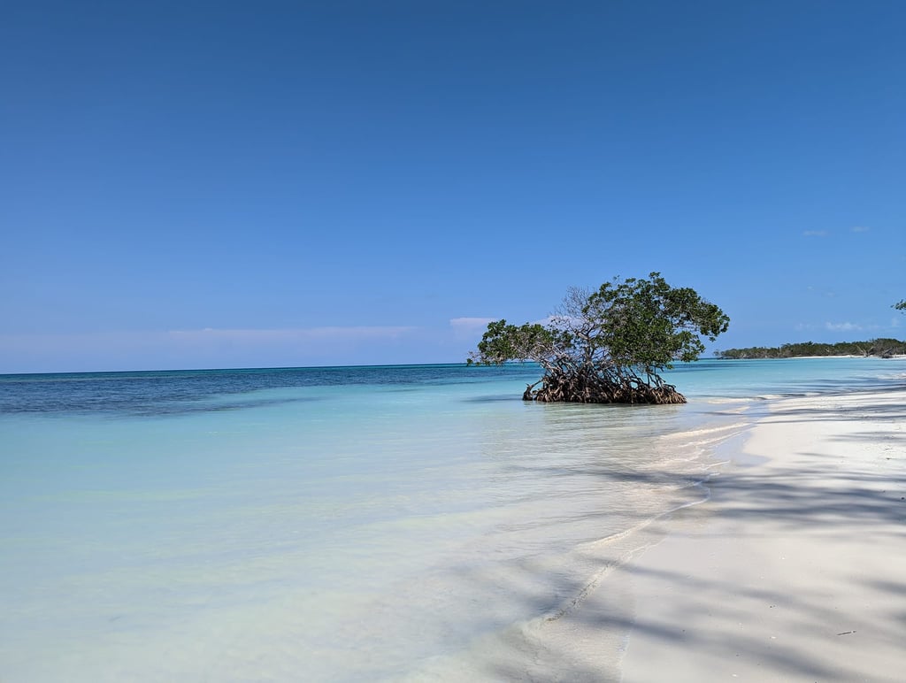 Cayo Jutías near Viñales in Cuba