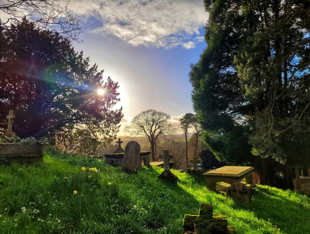 Historic stone gravestones and blooming yellow daffodils on a grassy hillside in a sunlit country churchyard.