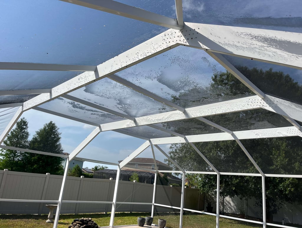 clean pool screen cage in sarasota fl