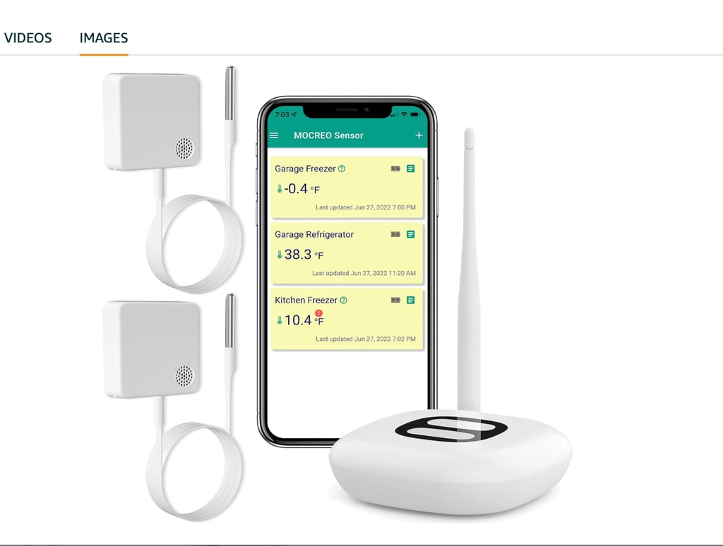 WiFi Thermometer Freezer Alarm, Email Alert, App Notification, Data Record Export, No Subscription F